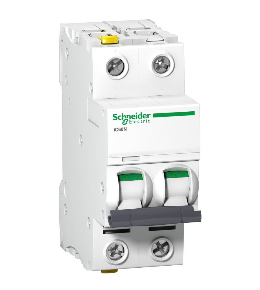 Schneider Wyłącznik nadprądowy 2P C2A A9F04202
